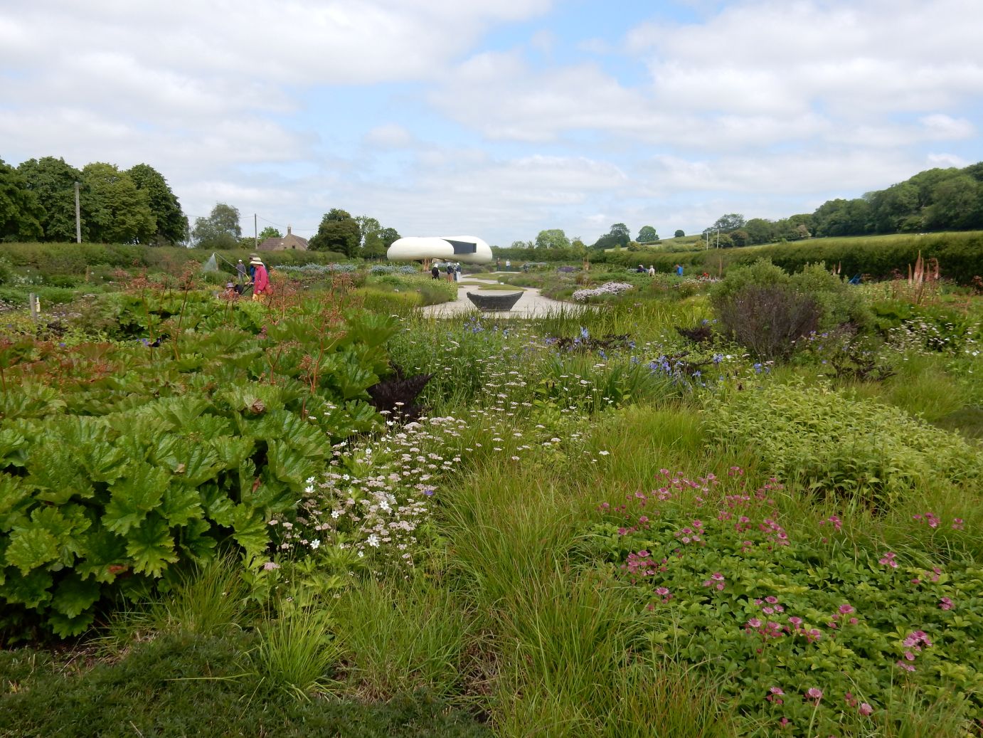 Gestalten mit Stauden